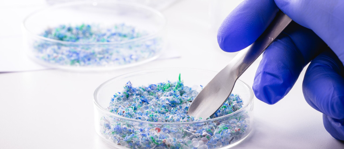 美國 TSCA 優先清單項目 1-BP 公告管理草案