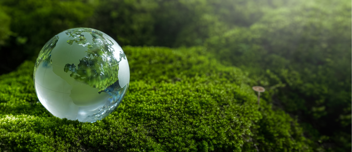 SGS 榮獲 EcoVadis 金獎及 FTSE4Good 永續指數認可,持續領航全球可持續發展!