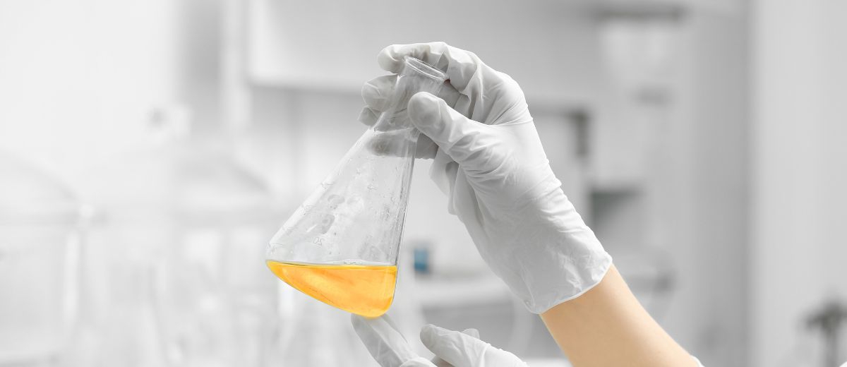 2024 年 EU POPs 法規動態:新增管制、預計修訂及現行規範調整(PFAS、Dechlorane plus、UV-328…)