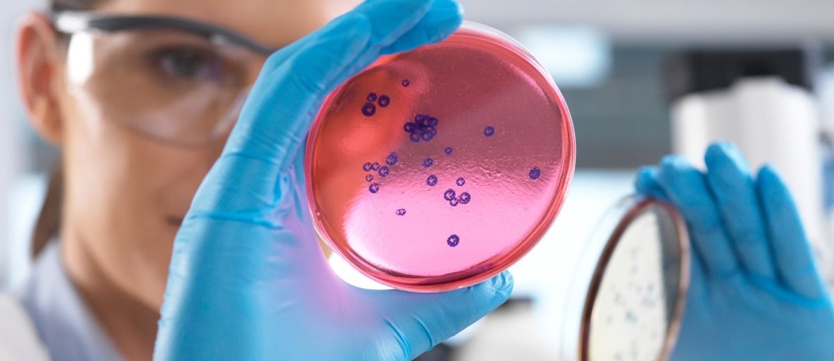 【SGS 超微量工業安全實驗室】醫材生物相容性測試的專業夥伴