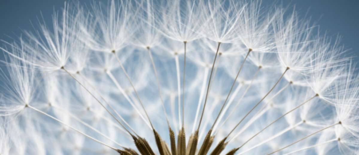 全球驗證快報 - 2025/11