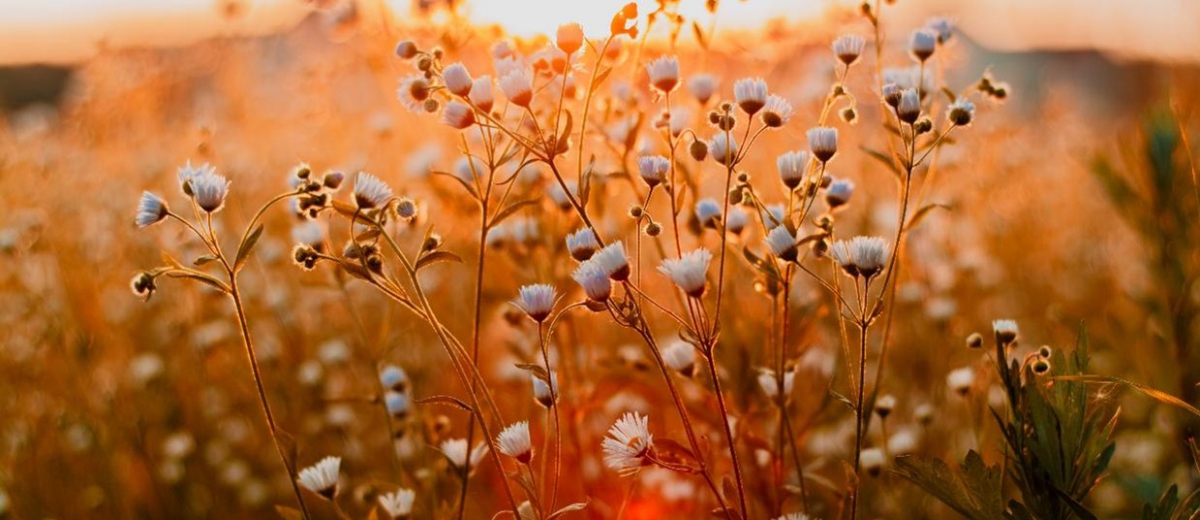 全球驗證快報 - 2025/12