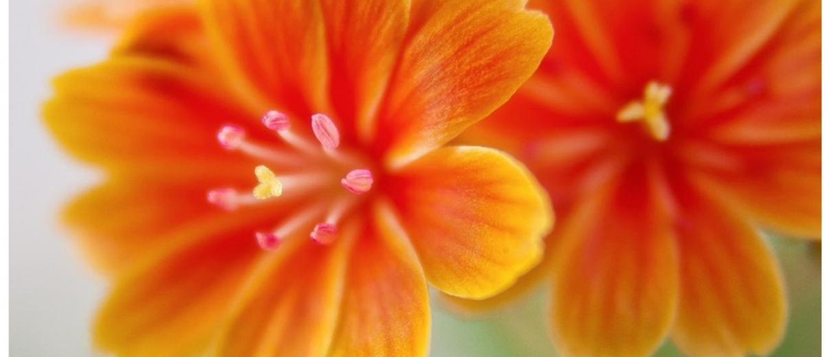 全球驗證快報 - 2026/2