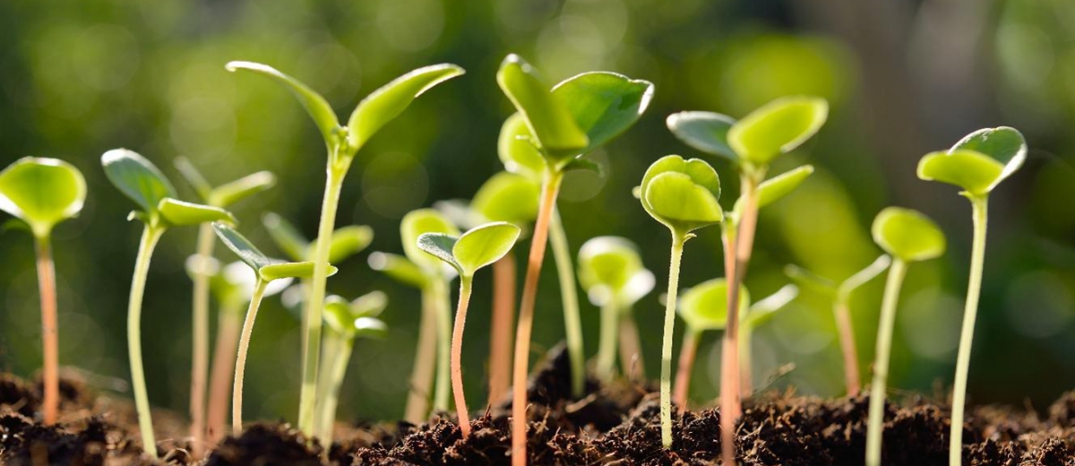 全球驗證快報 - 2026/3