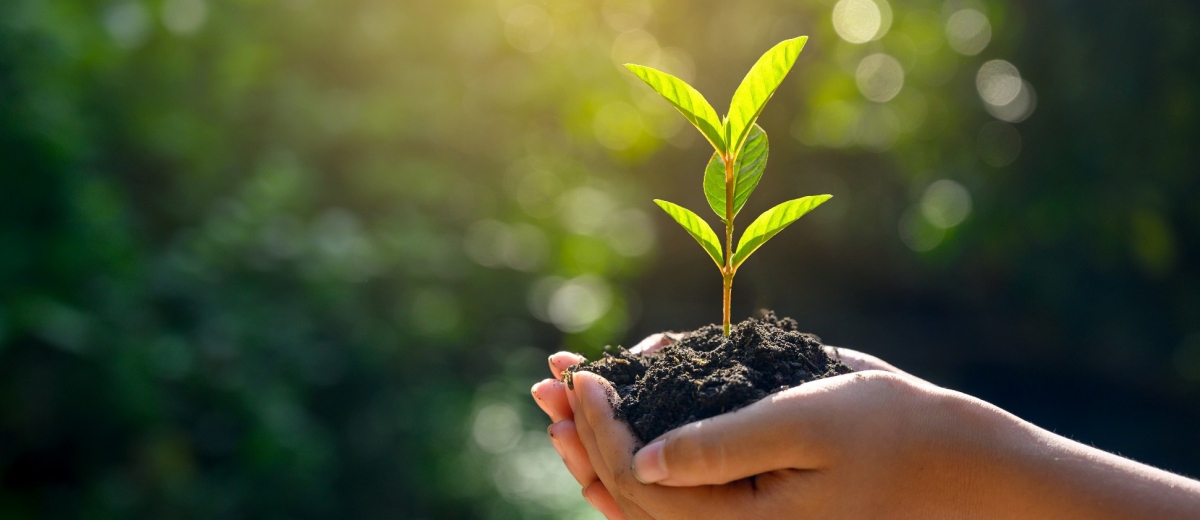 全球驗證快報 - 2026/4