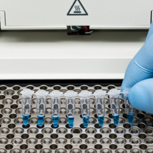 SGS 為醫學實驗室提供 PCR 核酸檢測設備現場校正服務