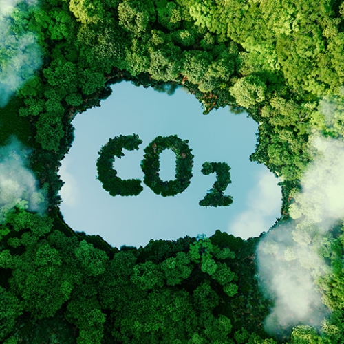 企業若採SBTi「科學基礎減碳目標倡議」，有機會享有碳費折扣優惠!!