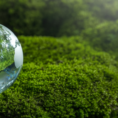 SGS 榮獲 EcoVadis 金獎及 FTSE4Good 永續指數認可,持續領航全球可持續發展!