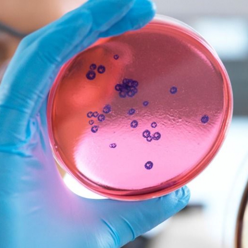 【SGS 超微量工業安全實驗室】醫材生物相容性測試的專業夥伴