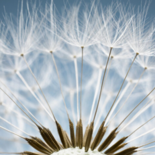 全球驗證快報 - 2025/11