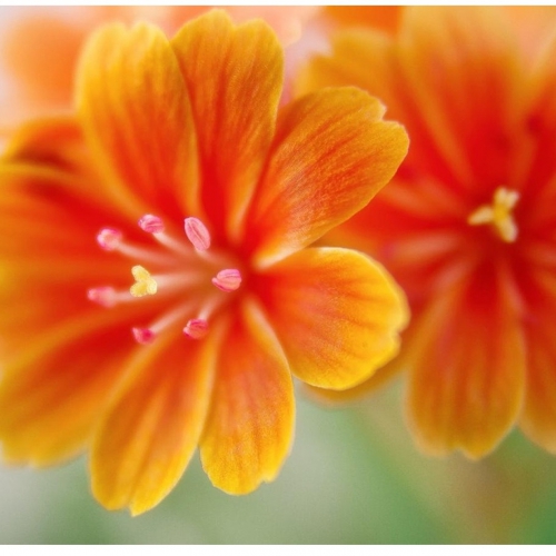 全球驗證快報 - 2026/2