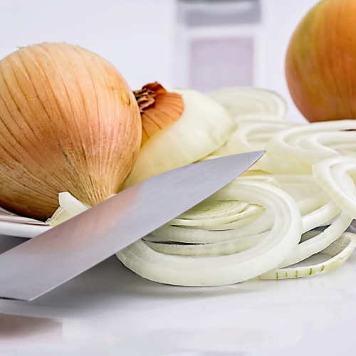 〈更新〉 2026/3 歐盟、美國及加拿大食品接觸材通報案例