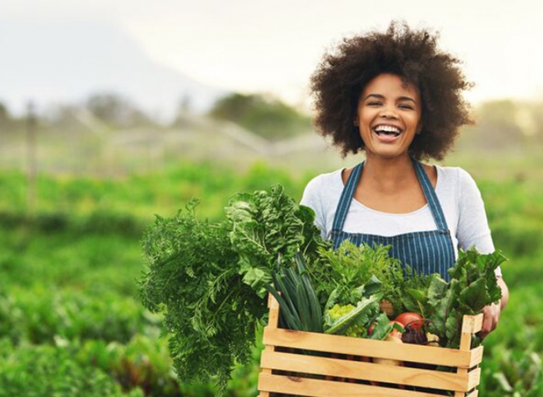 PESTICIDE RESIDUE TESTING